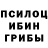 Псилоцибиновые грибы Psilocybe bolat