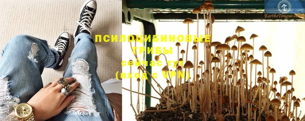 Альфа ПВП Арсеньев