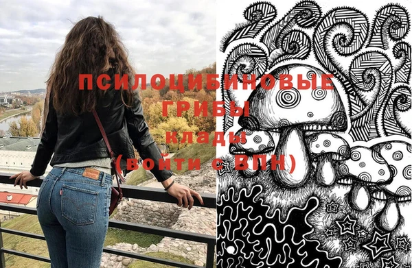 Альфа ПВП Арсеньев