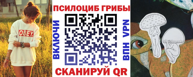 Галлюциногенные грибы мухоморы сколько стоит darknet какой сайт Тарко-Сале
